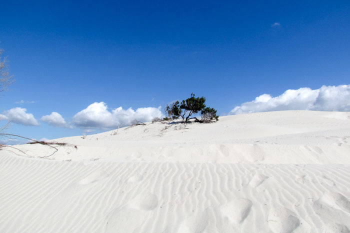 Porto Pino Holiday_landscape_beach